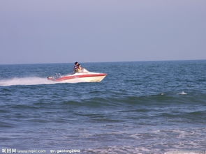 海上游覽與航空國際貨運代理 現代物流與旅游的雙重畫卷