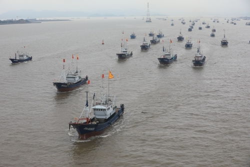 普陀 海上糾紛結(jié)案率100%的秘訣——以航空國際貨運(yùn)代理為紐帶，構(gòu)建多元高效解紛新格局